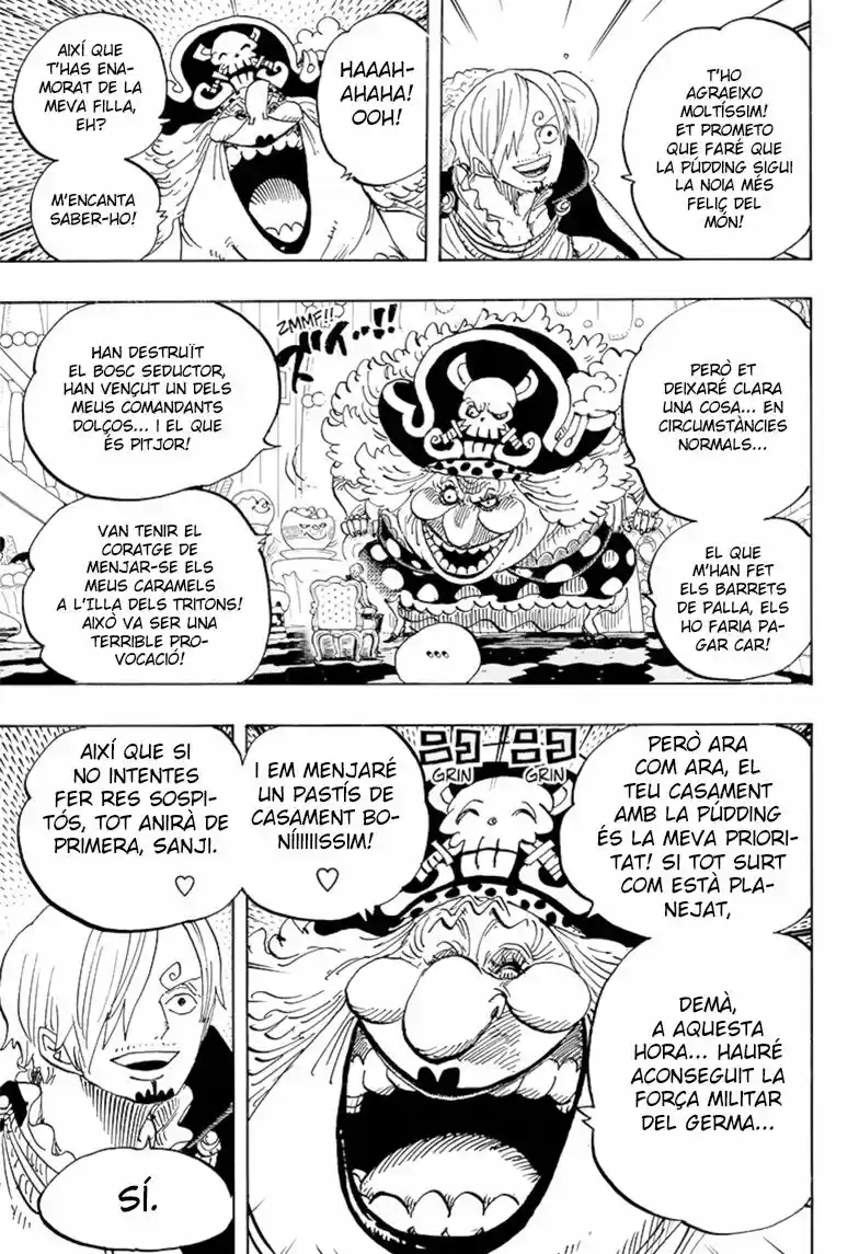 One Piece (Català) (1997) - Capítulo 846 - Página 11 - LectorTMOo