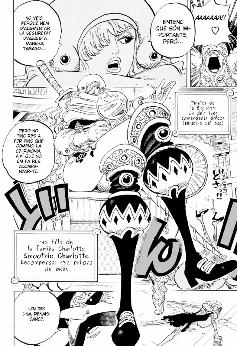 One Piece (Català) (1997) - Capítulo 846 - Página 13 - LectorTMOo