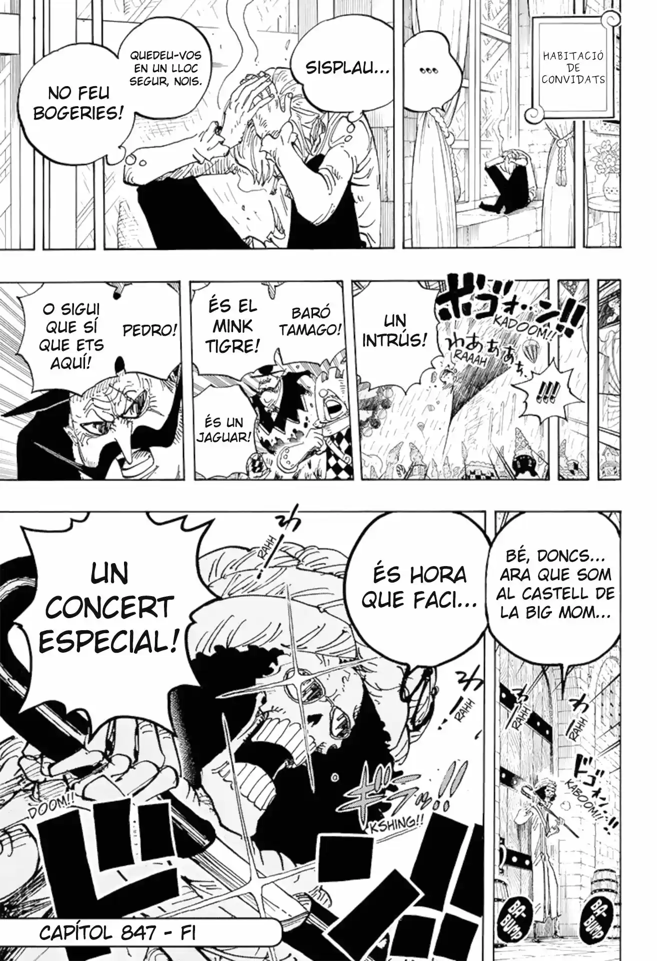 One Piece (Català) (1997) - Capítulo 847 - Página 17 - LectorTMOo