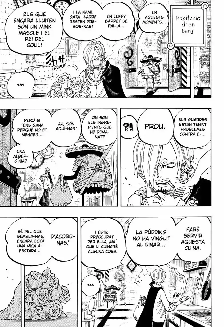 One Piece (Català) (1997) - Capítulo 849 - Página 11 - LectorTMOo