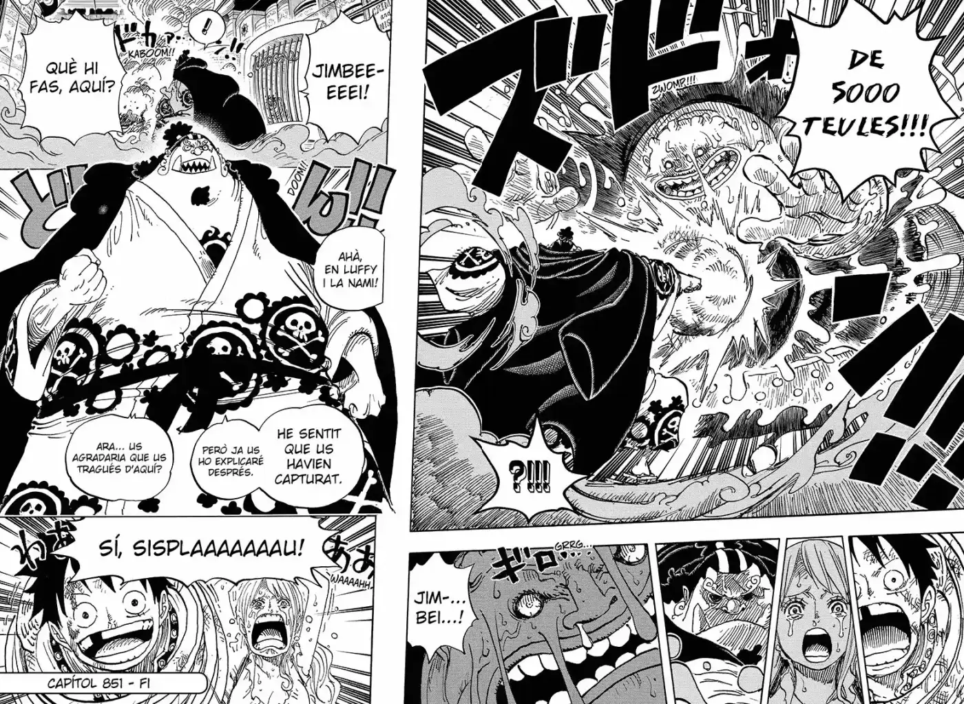One Piece (Català) (1997) - Capítulo 851 - Página 14 - LectorTMOo