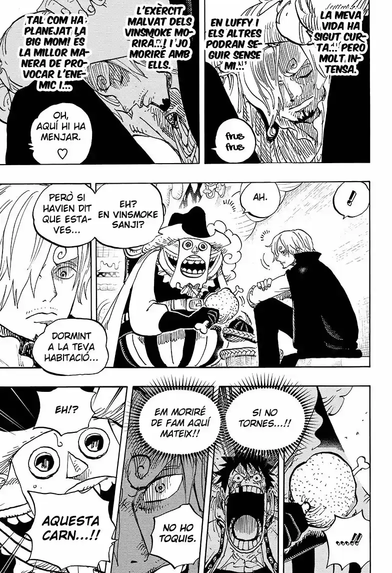 One Piece (Català) (1997) - Capítulo 854 - Página 15 - LectorTMOo
