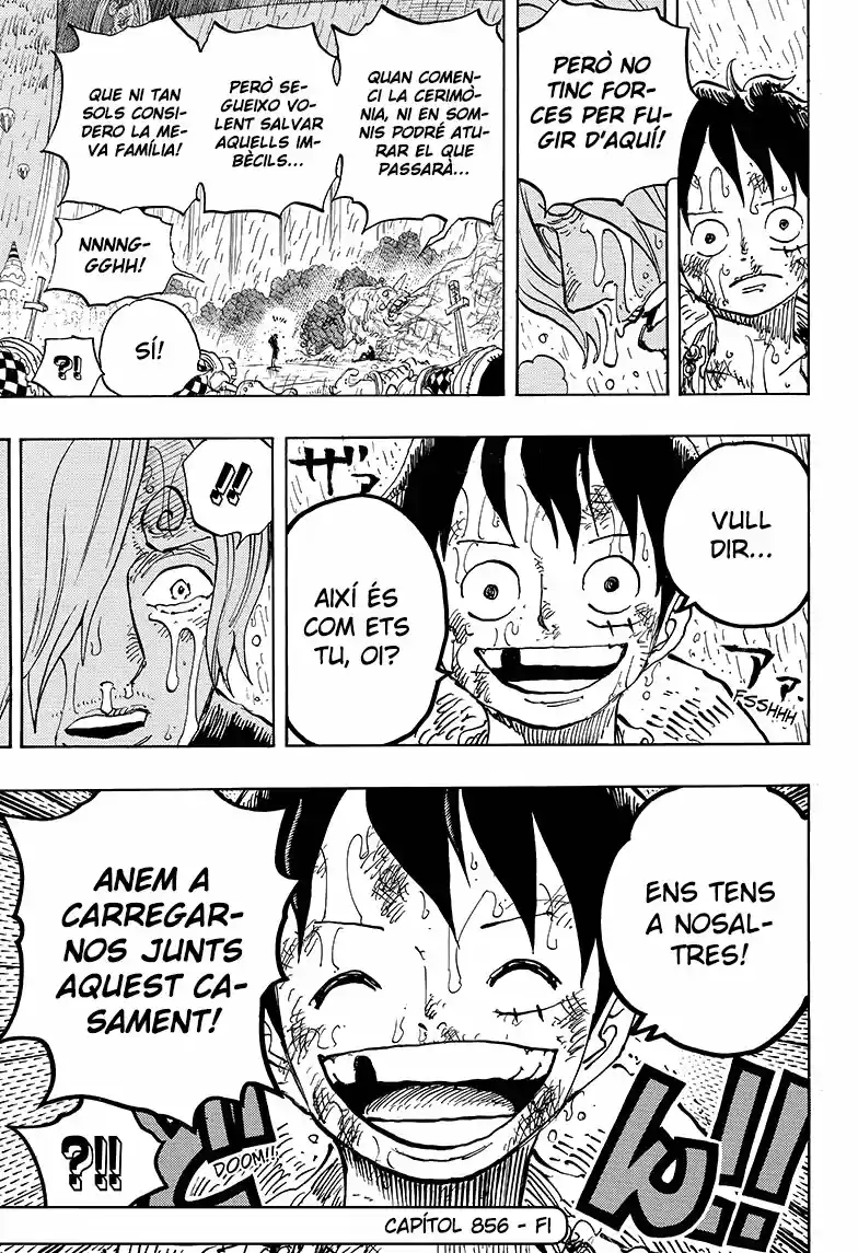 One Piece (Català) (1997) - Capítulo 856 - Página 17 - LectorTMOo