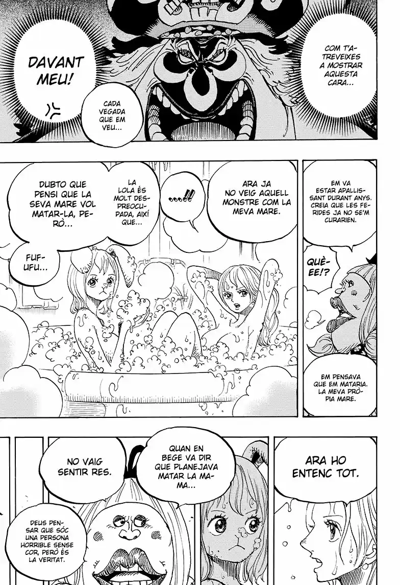 One Piece (Català) (1997) - Capítulo 858 - Página 9 - LectorTMOo