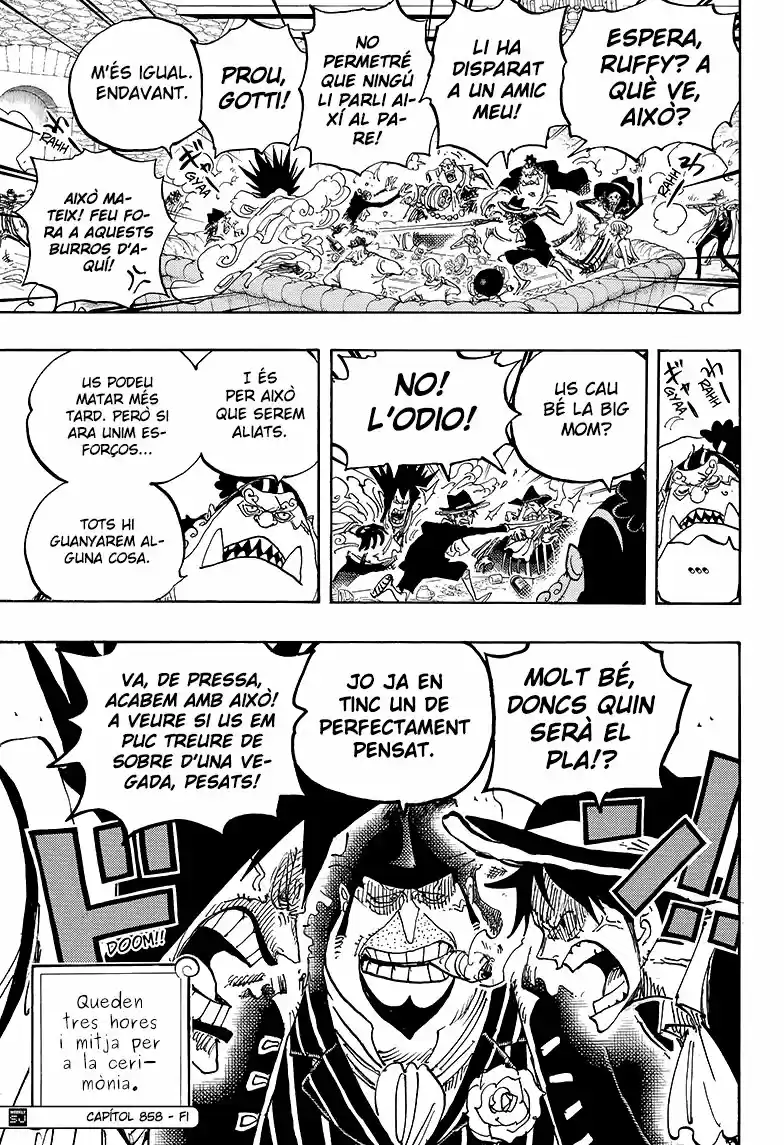 One Piece (Català) (1997) - Capítulo 858 - Página 15 - LectorTMOo