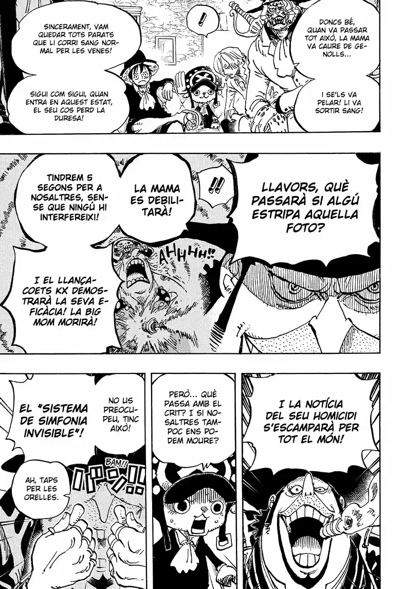 One Piece (Català) (1997) - Capítulo 859 - Página 9 - LectorTMOo