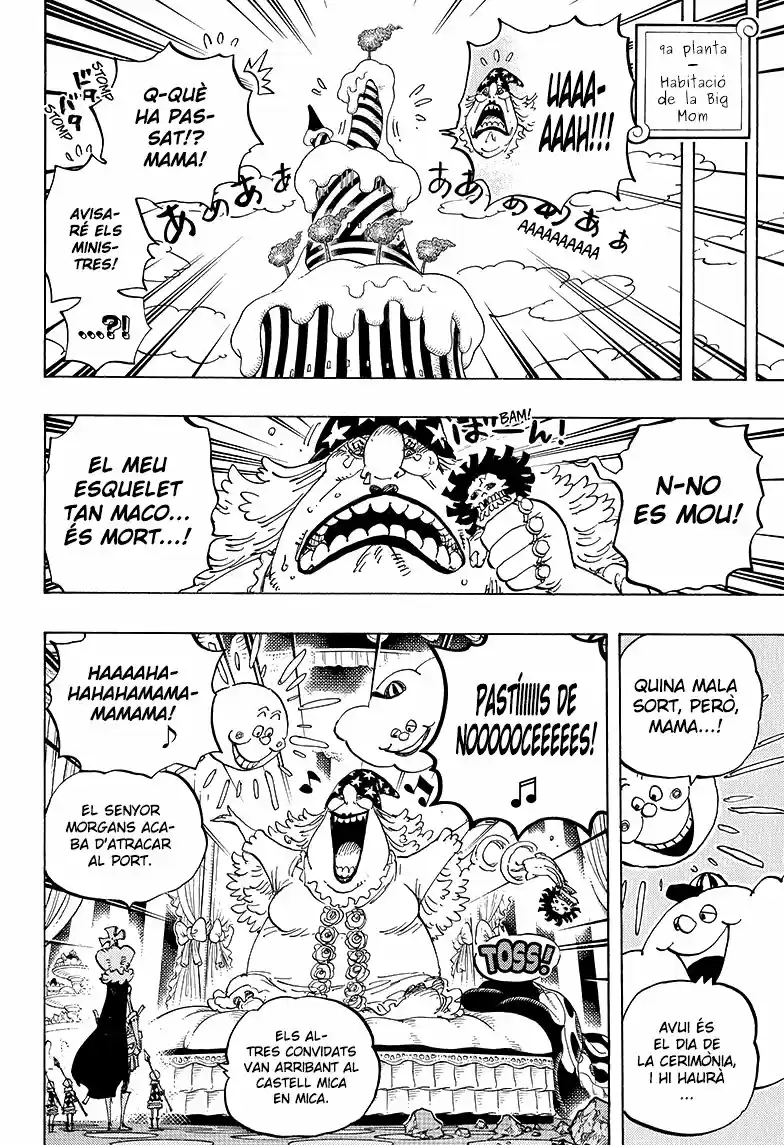 One Piece (Català) (1997) - Capítulo 859 - Página 16 - LectorTMOo