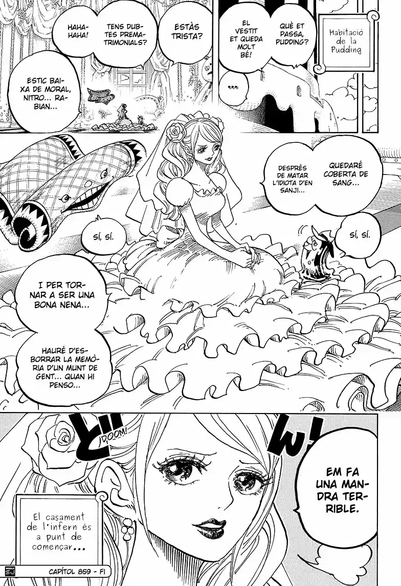 One Piece (Català) (1997) - Capítulo 859 - Página 17 - LectorTMOo