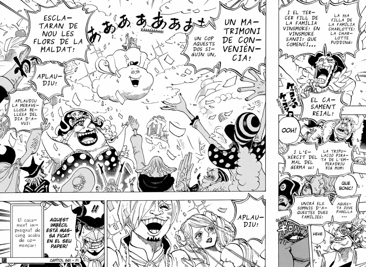 One Piece (Català) (1997) - Capítulo 861 - Página 15 - LectorTMOo