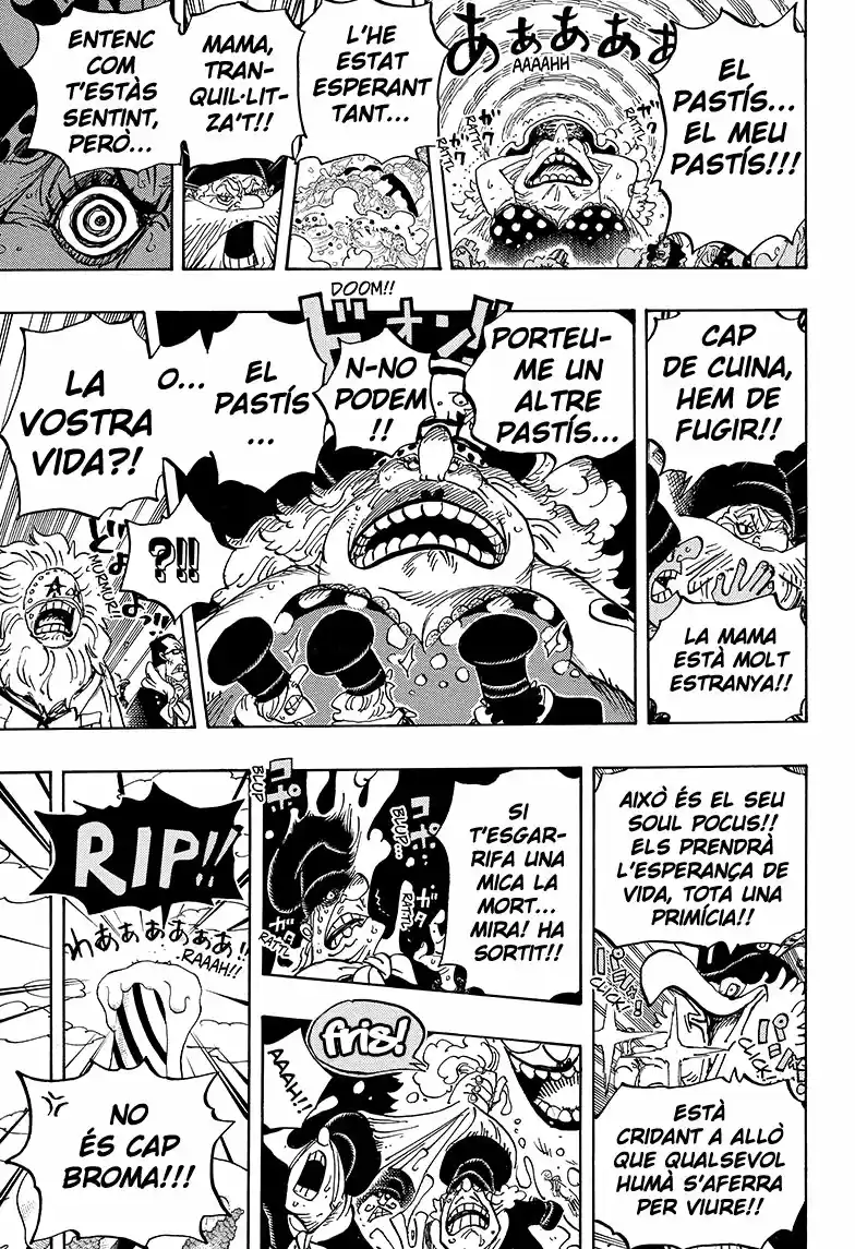 One Piece (Català) (1997) - Capítulo 863 - Página 6 - LectorTMOo