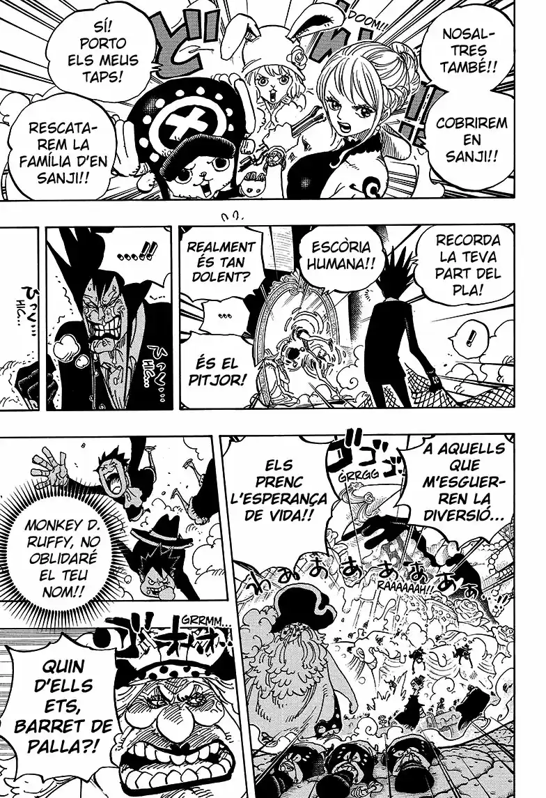 One Piece (Català) (1997) - Capítulo 863 - Página 8 - LectorTMOo