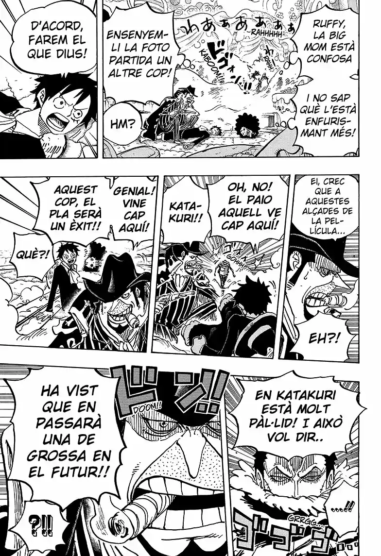 One Piece (Català) (1997) - Capítulo 864 - Página 14 - LectorTMOo
