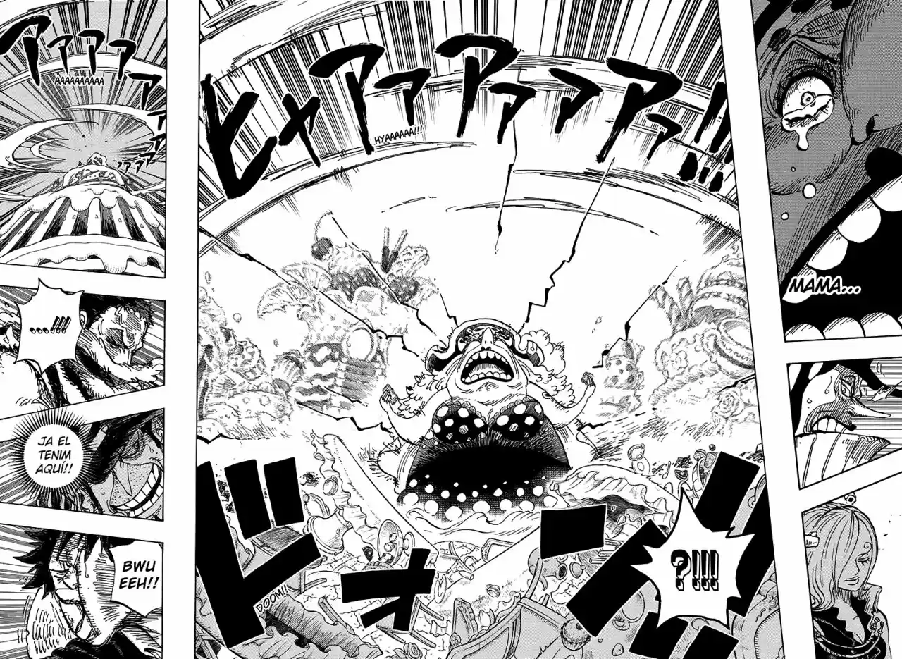 One Piece (Català) (1997) - Capítulo 865 - Página 10 - LectorTMOo