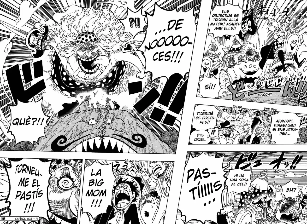 One Piece (Català) (1997) - Capítulo 873 - Página 15 - LectorTMOo