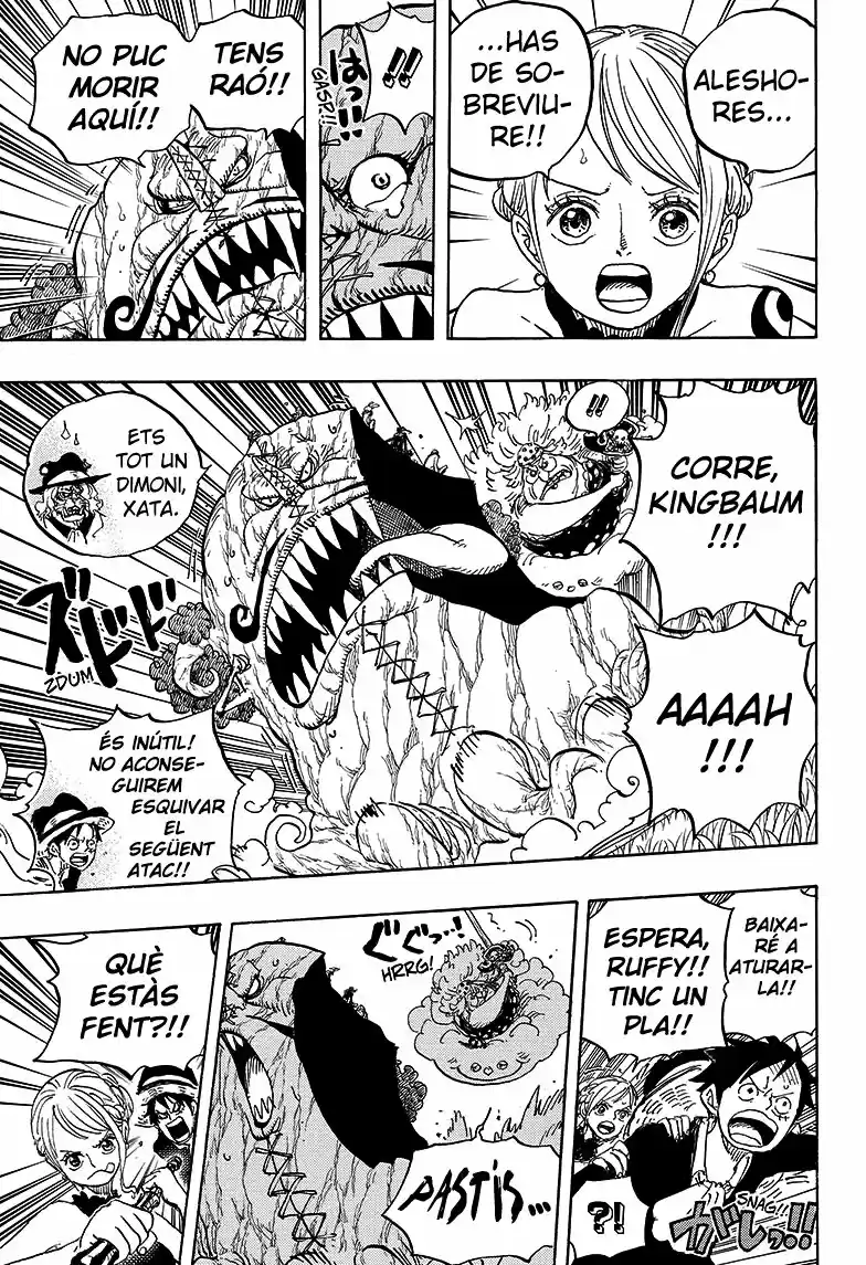 One Piece (Català) (1997) - Capítulo 874 - Página 5 - LectorTMOo