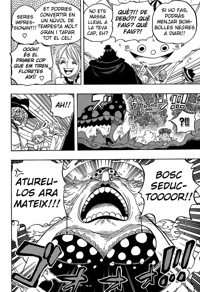 One Piece (Català) (1997) - Capítulo 874 - Página 10 - LectorTMOo