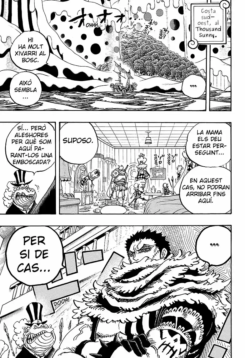 One Piece (Català) (1997) - Capítulo 874 - Página 15 - LectorTMOo