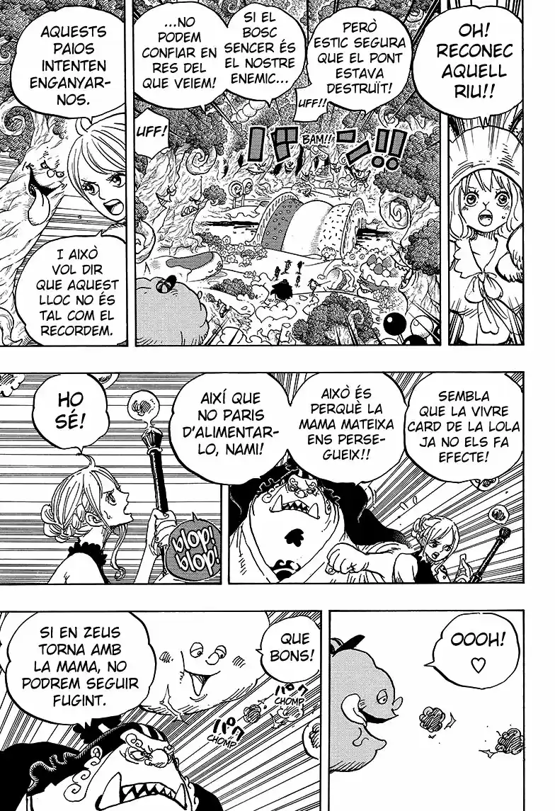 One Piece (Català) (1997) - Capítulo 875 - Página 5 - LectorTMOo