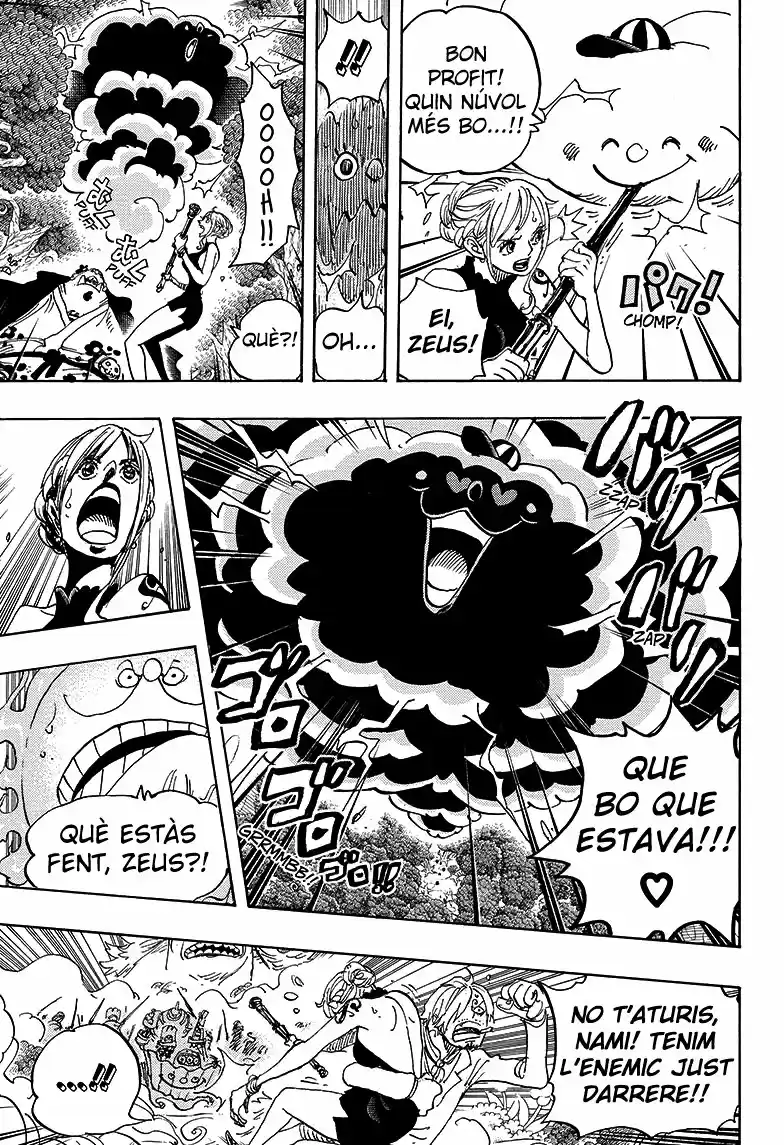 One Piece (Català) (1997) - Capítulo 875 - Página 11 - LectorTMOo