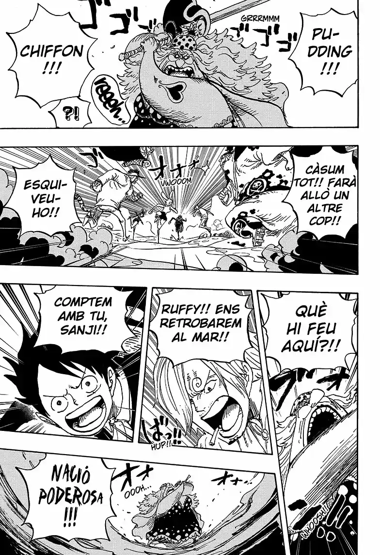 One Piece (Català) (1997) - Capítulo 876 - Página 10 - LectorTMOo