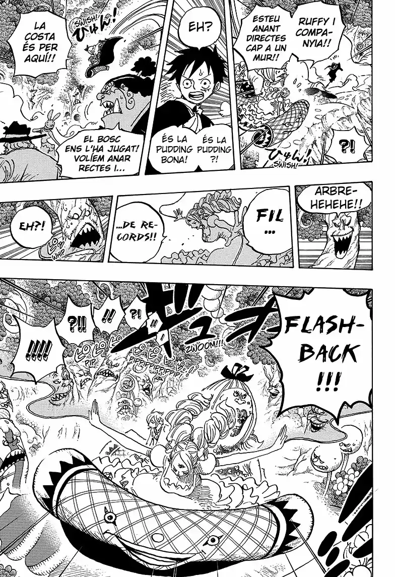 One Piece (Català) (1997) - Capítulo 876 - Página 12 - LectorTMOo