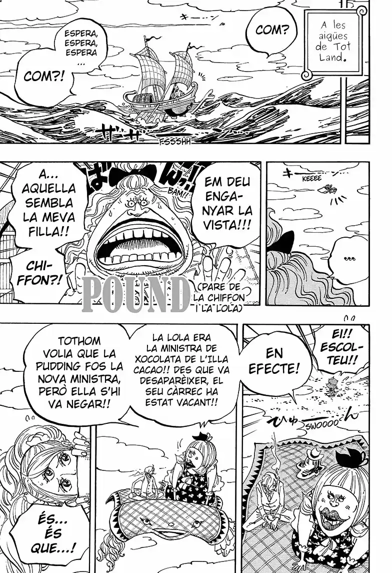 One Piece (Català) (1997) - Capítulo 879 - Página 9 - LectorTMOo