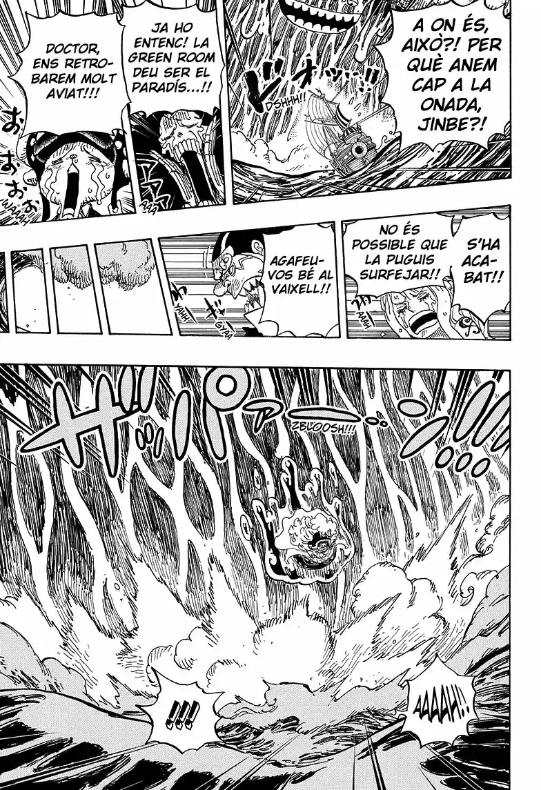 One Piece (Català) (1997) - Capítulo 881 - Página 5 - LectorTMOo