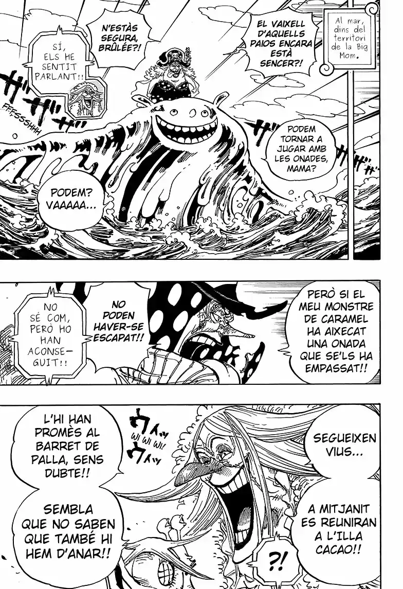 One Piece (Català) (1997) - Capítulo 882 - Página 7 - LectorTMOo