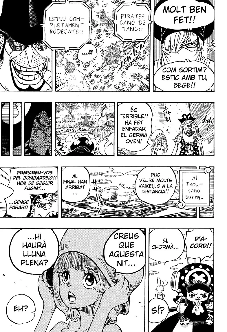 One Piece (Català) (1997) - Capítulo 886 - Página 16 - LectorTMOo
