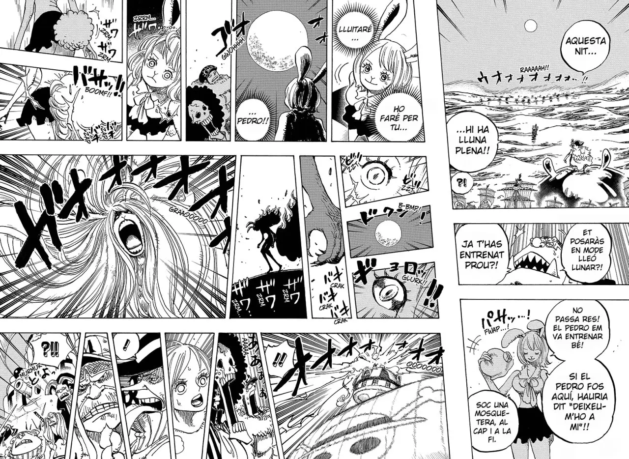 One Piece (Català) (1997) - Capítulo 888 - Página 9 - LectorTMOo