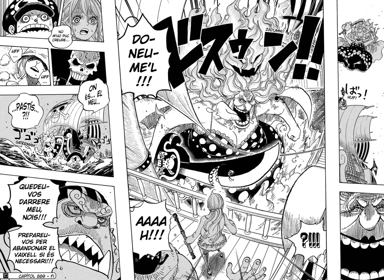One Piece (Català) (1997) - Capítulo 889 - Página 15 - LectorTMOo