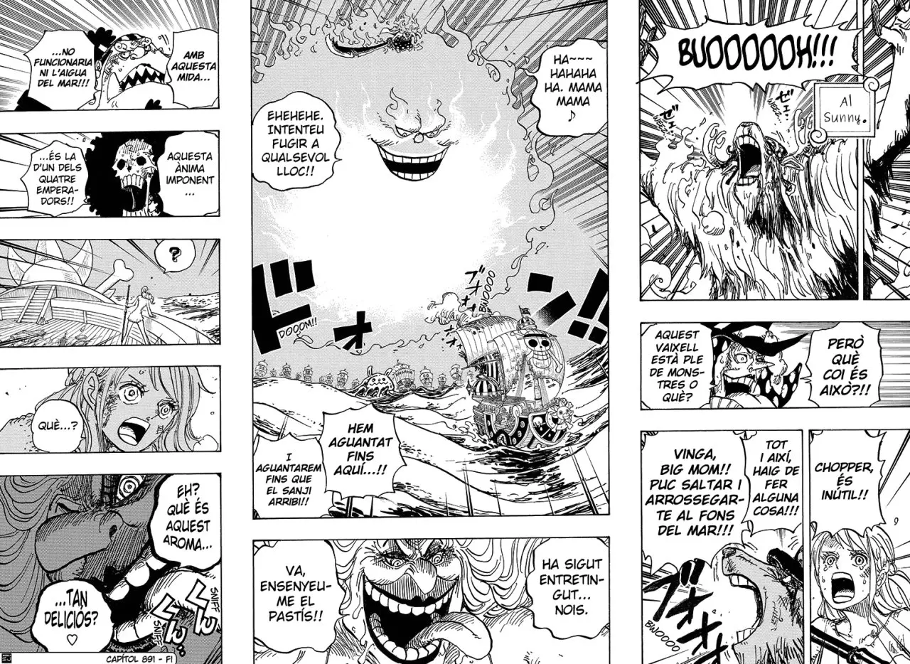 One Piece (Català) (1997) - Capítulo 891 - Página 15 - LectorTMOo