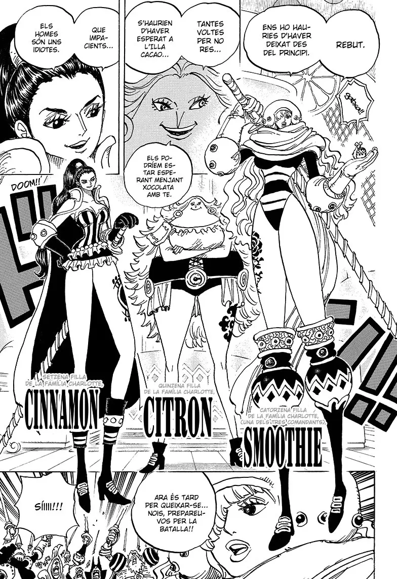 One Piece (Català) (1997) - Capítulo 892 - Página 11 - LectorTMOo