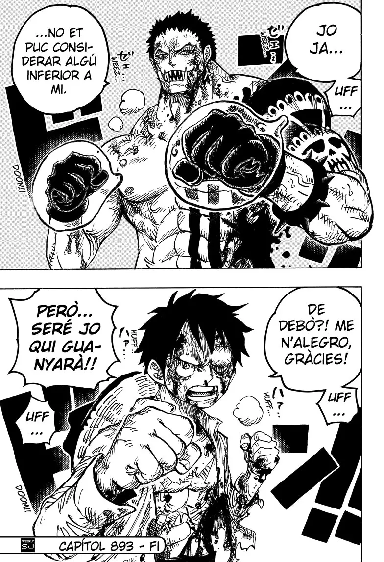 One Piece (Català) (1997) - Capítulo 893 - Página 17 - LectorTMOo