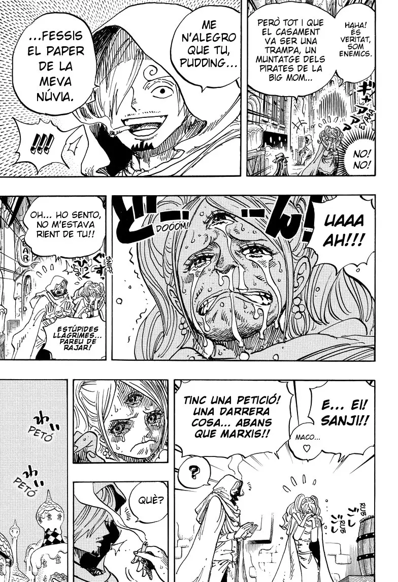One Piece (Català) (1997) - Capítulo 896 - Página 5 - LectorTMOo