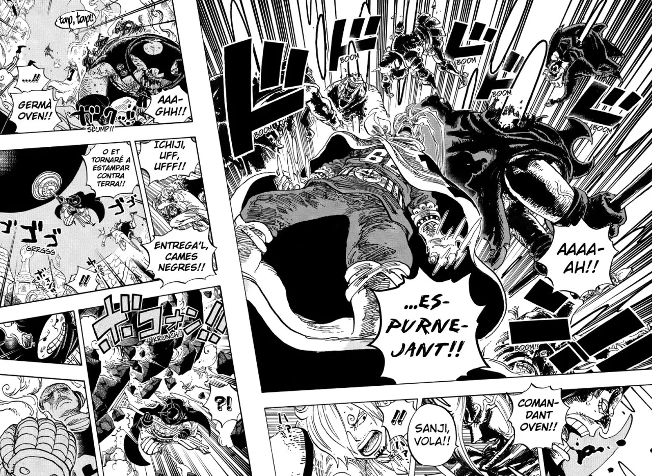 One Piece (Català) (1997) - Capítulo 898 - Página 9 - LectorTMOo