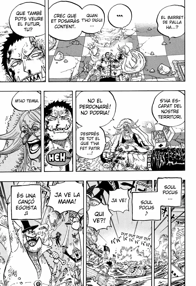 One Piece (Català) (1997) - Capítulo 902 - Página 14 - LectorTMOo