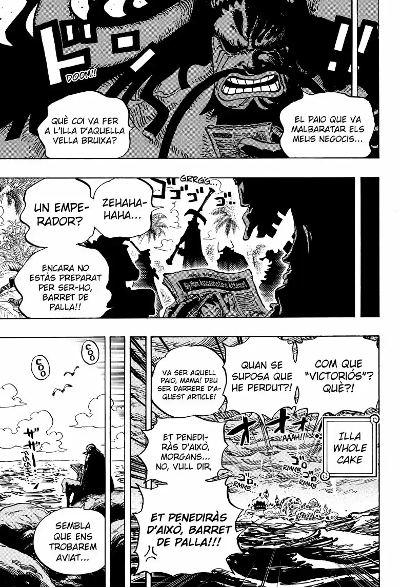 One Piece (Català) (1997) - Capítulo 903 - Página 15 - LectorTMOo