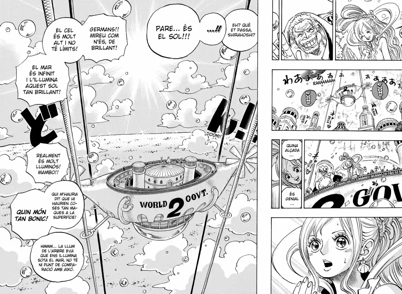 One Piece (Català) (1997) - Capítulo 905 - Página 11 - LectorTMOo