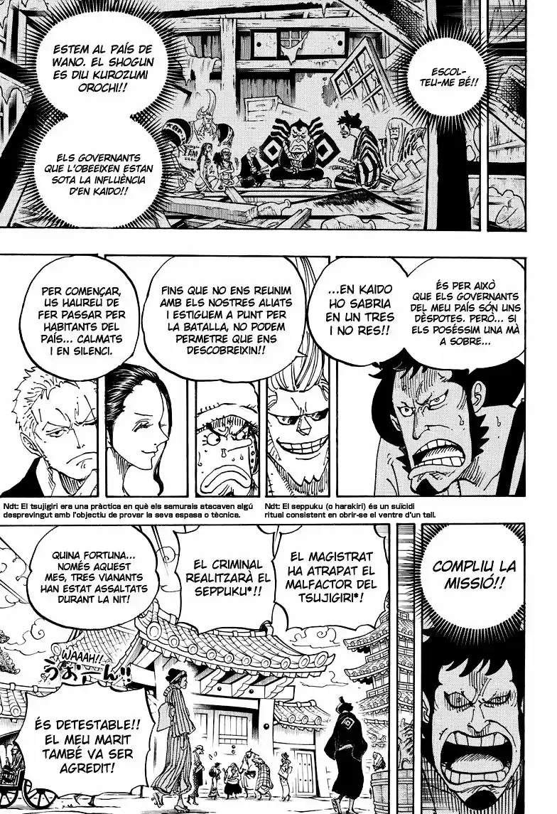 One Piece (Català) (1997) - Capítulo 909 - Página 12 - LectorTMOo