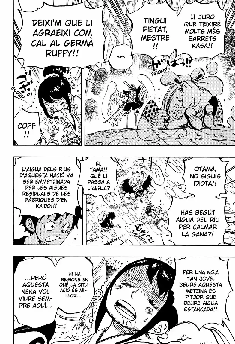 One Piece (Català) (1997) - Capítulo 911 - Página 16 - LectorTMOo