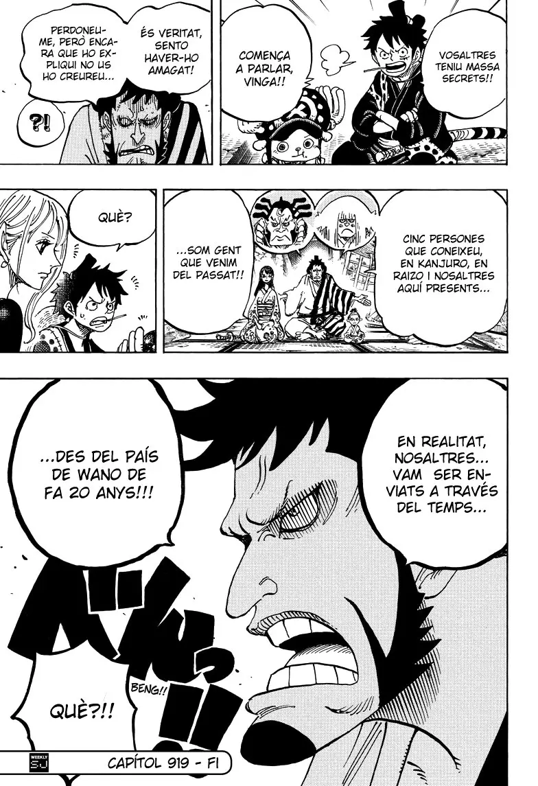 One Piece (Català) (1997) - Capítulo 919 - Página 15 - LectorTMOo
