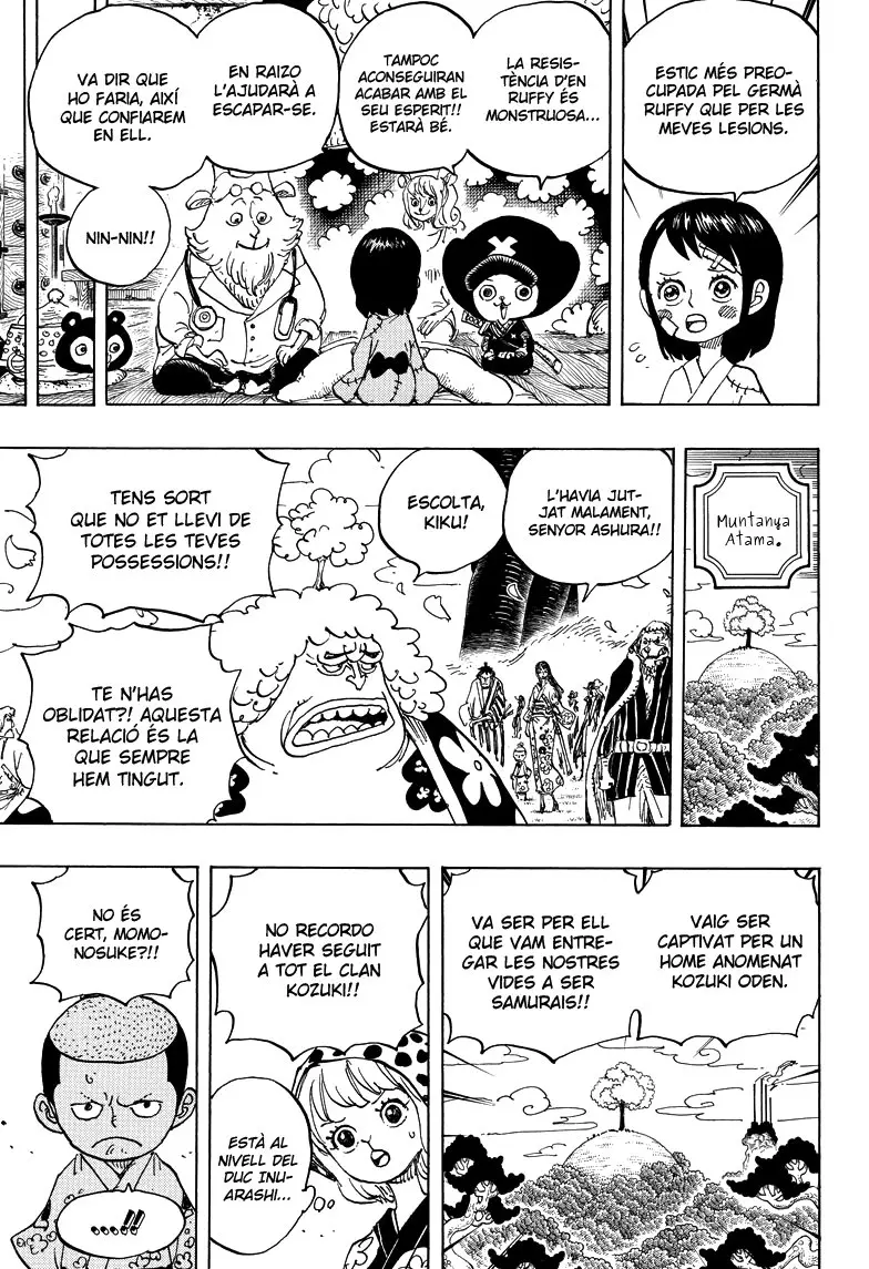 One Piece (Català) (1997) - Capítulo 925 - Página 14 - LectorTMOo