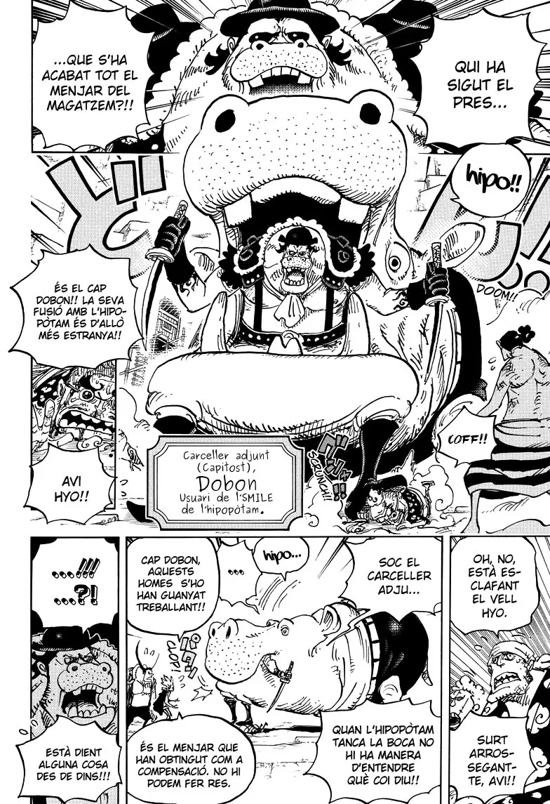 One Piece (Català) (1997) - Capítulo 926 - Página 14 - LectorTMOo