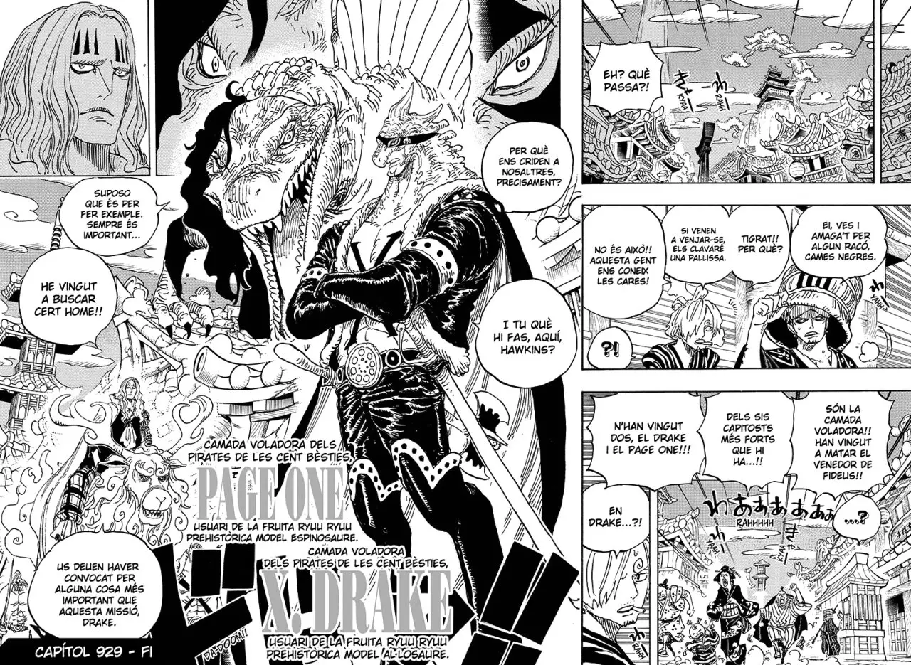 One Piece (Català) (1997) - Capítulo 929 - Página 14 - LectorTMOo