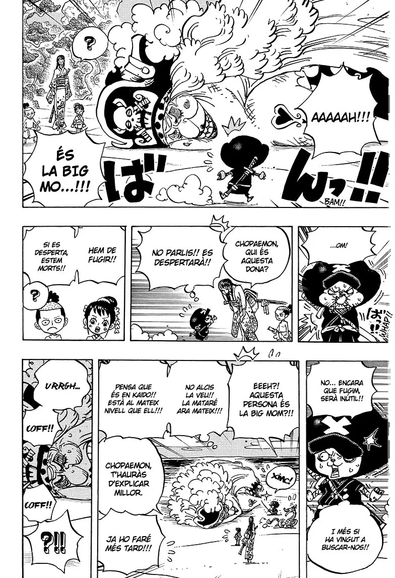 One Piece (Català) (1997) - Capítulo 931 - Página 14 - LectorTMOo