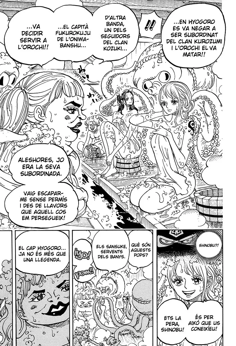 One Piece (Català) (1997) - Capítulo 935 - Página 14 - LectorTMOo