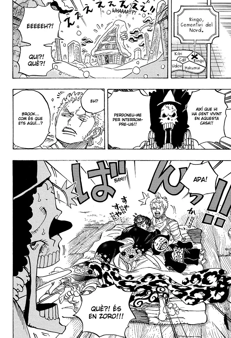 One Piece (Català) (1997) - Capítulo 941 - Página 10 - LectorTMOo