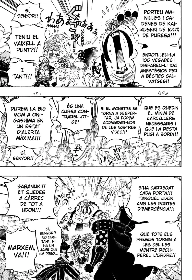 One Piece (Català) (1997) - Capítulo 947 - Página 14 - LectorTMOo