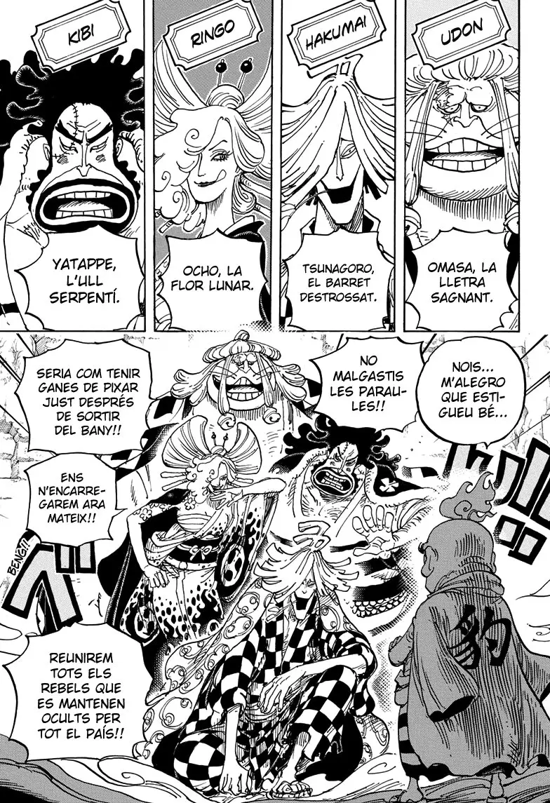 One Piece (Català) (1997) - Capítulo 952 - Página 9 - LectorTMOo